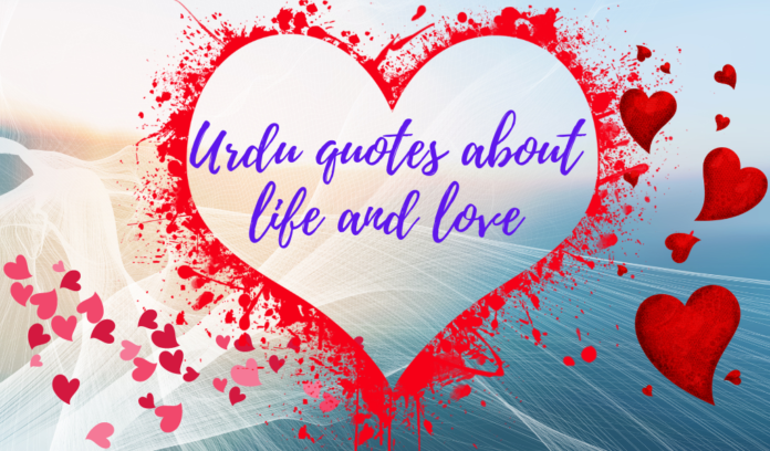 Top Urdu quotes about life and love